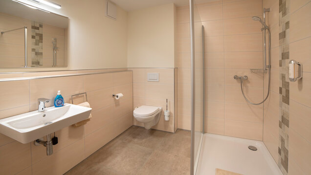 Bad Doppelzimmer Komfort - Einrichtungsbeispiel - links Waschbecken mit Spiegel, hinten WC, große Dusche rechts